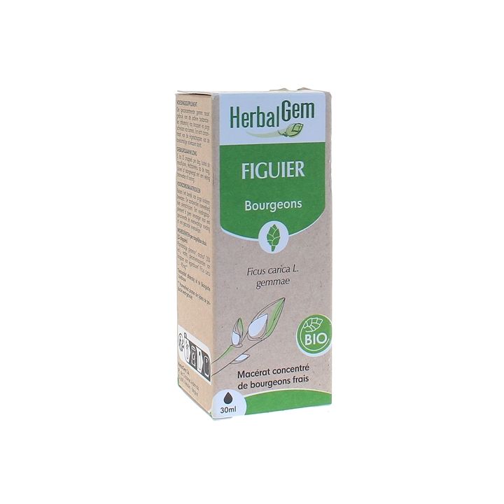 Figuier BIO Herbalgem - 30 ml