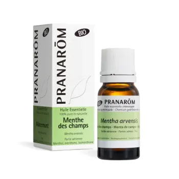 Huile essentielle Menthe des champs bio Pranarôm - flacon de 10 ml