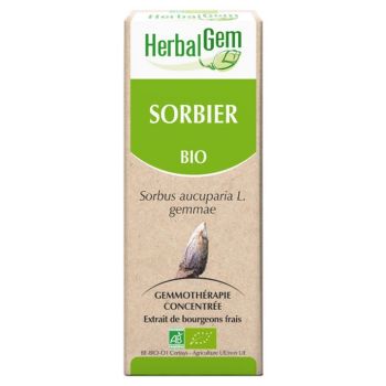 Sorbier bio Herbalgem - flacon de 30 ml