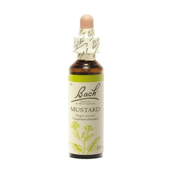 Fleur de Bach Mustard Sinapis arvensis - flacon de 20 ml